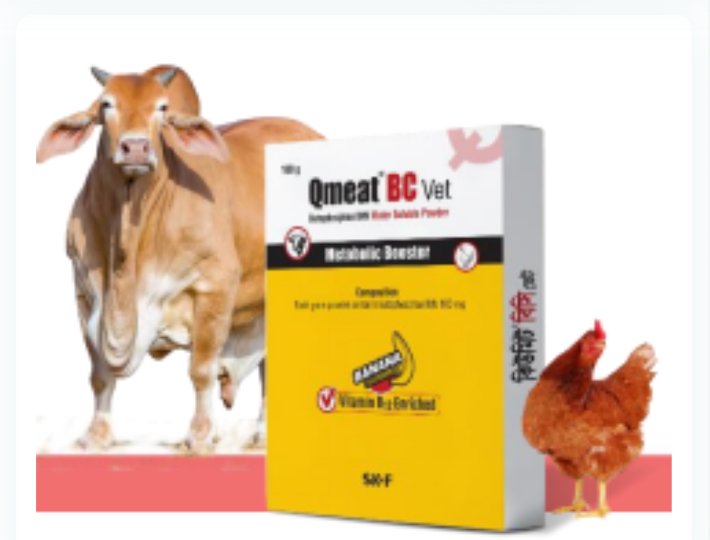 Picture of Qmeat BC Vet 500gm