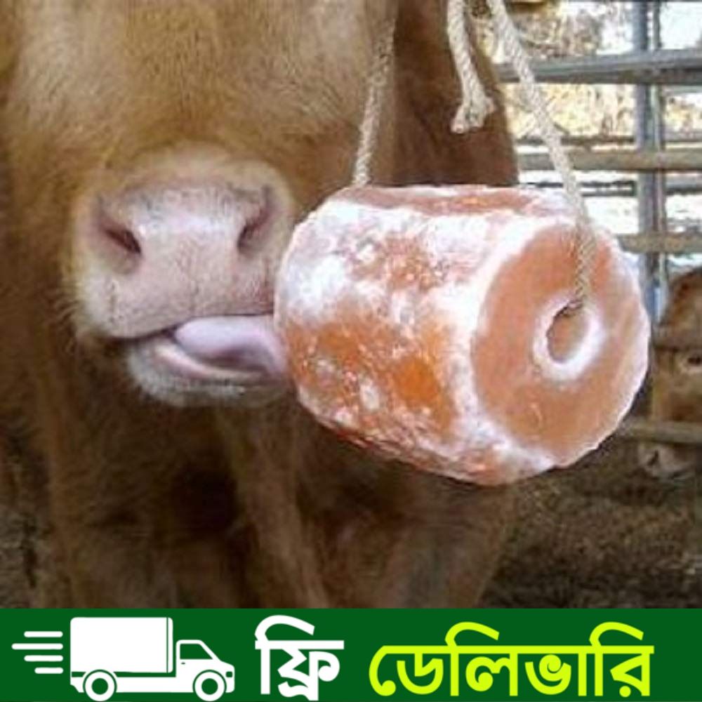 Picture of Pink Salt Block 6 Block (Supper Premium) (1 Box) 19-20 kg
