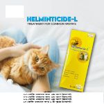 Helminticide L ( বিড়াল ও কুকুরের কৃমিনাশক) 
