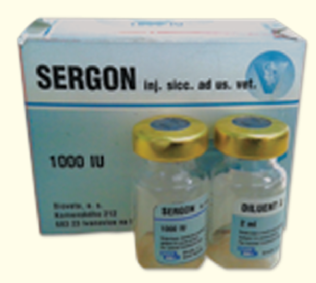 Picture of Sergon Injection 1000 IU + 2 ml solvent