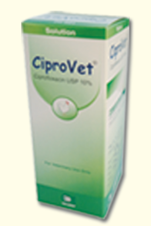 Picture of CiproVet Solution 100ml