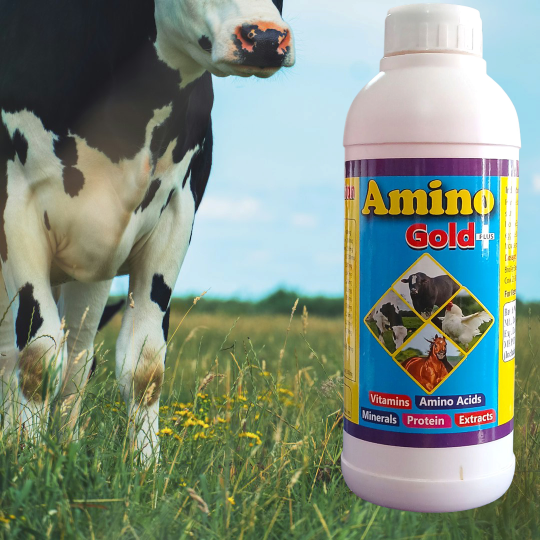 Picture of Amino gold plus 1000ml