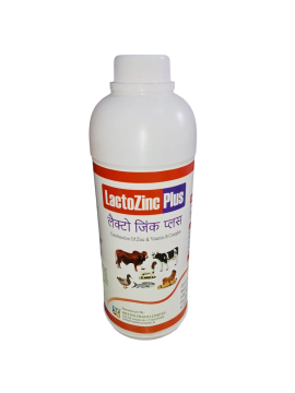 Picture of LactoZinc Plus 1 Lt