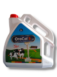 OraCal Vet 3 L