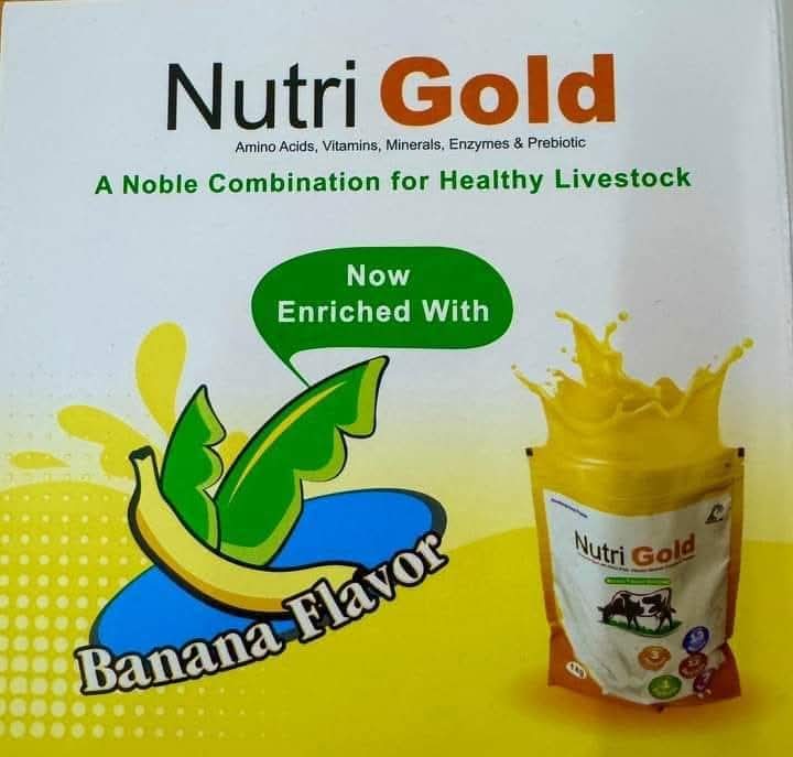 Picture of Nutri  Gold 1 kg