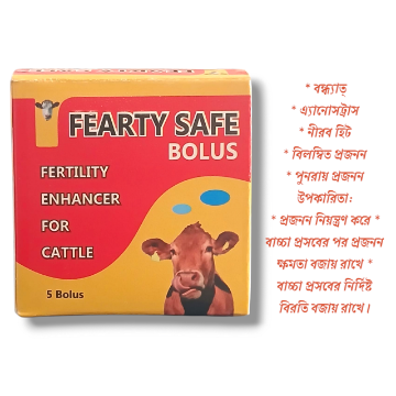Picture of FEARTY SAFE 1×5 