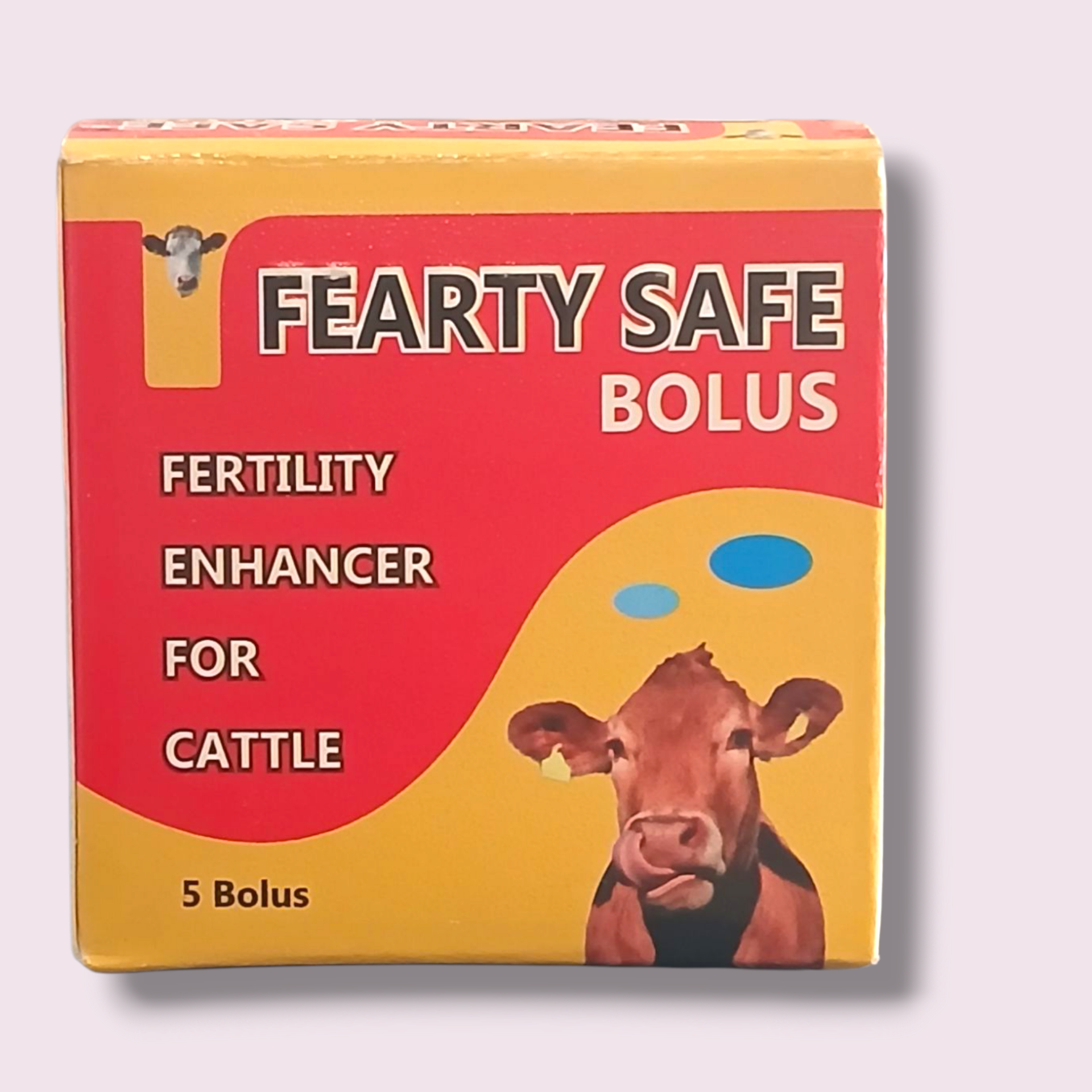 Picture of FEARTY SAFE 1×5 