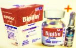 Bipilin 1 gm Injection