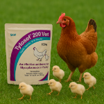 Tylosef Powder 100 gm