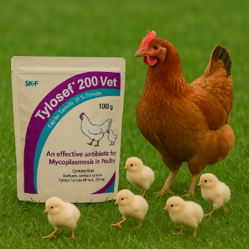 Picture of Tylosef Powder 100 gm