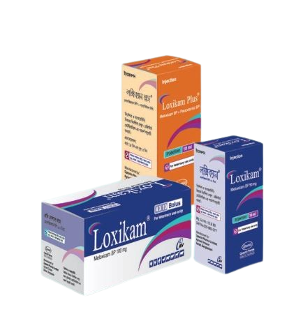 Picture of Loxikam 100 mg Bolus - 4x10's