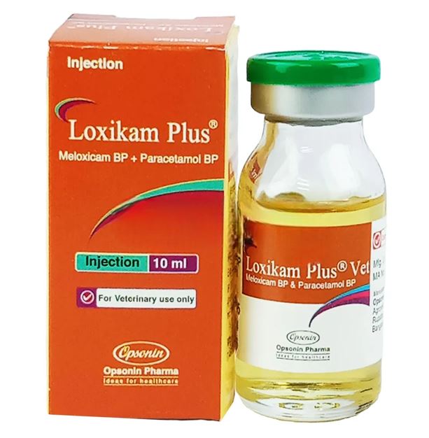 Picture of Loxikam Plus 10 ml Injection