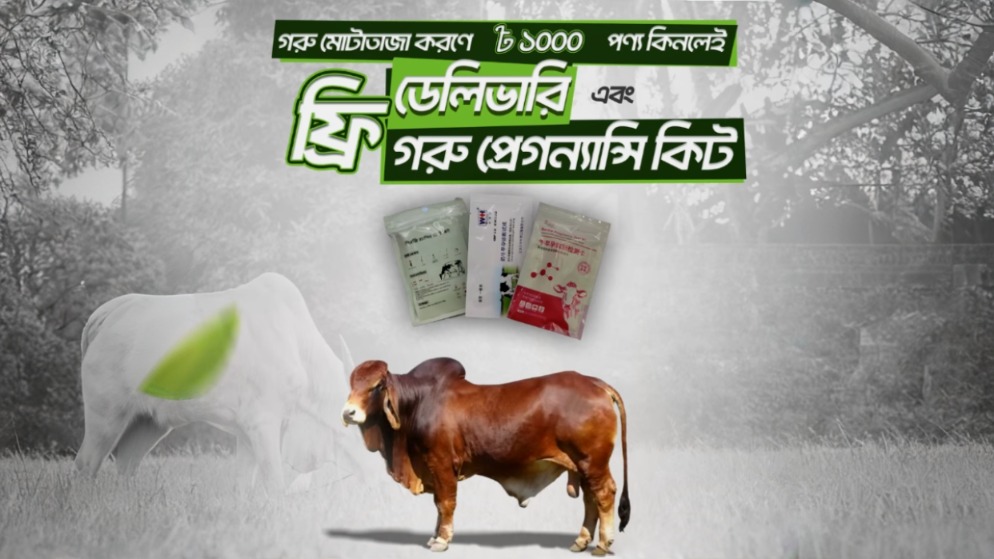 ১০০০ টাকার মোটাতাজাকরন পণ্যে ফ্রি ডেলিভারি