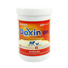 Picture of Doxin Vet 100 gm WSP 