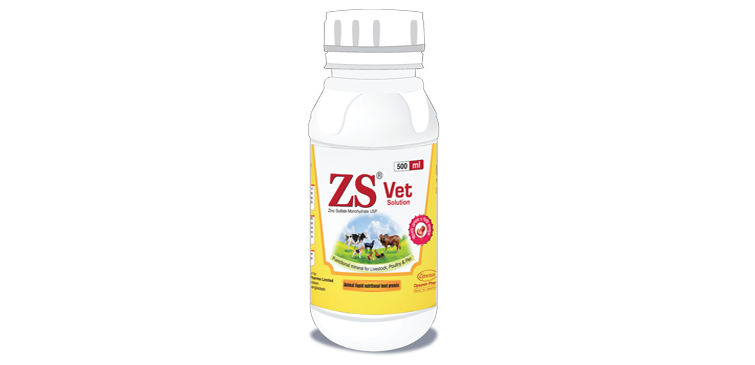 Picture of ZS Solution 500 ml
