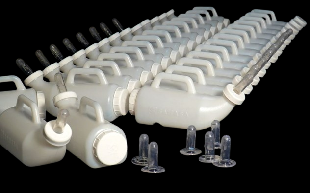 Picture of FEEDER BOTTLE - 2.5 ltr (Curved Style)