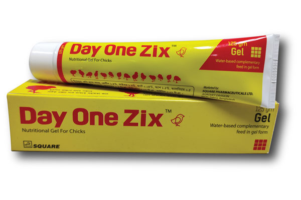Picture of Day One Zix 125gm