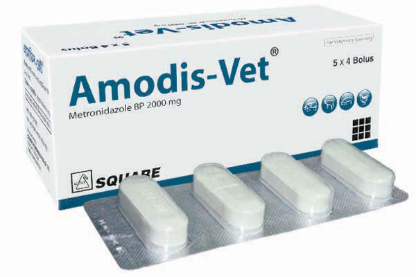 Picture of Amodis-Vet Bolus 5x4's