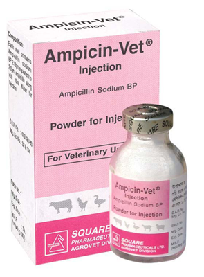 Picture of Ampicin-Vet Inj 1 vial
