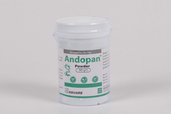 Picture of Andopan Powder 50gm