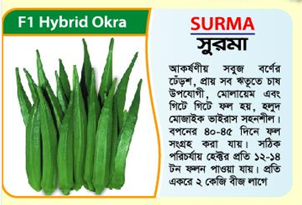 Picture of SURMA F1 Hybrid Okra -1Kg