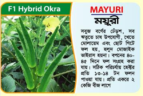 Picture of Mayuri F1 Hybrid Okra -100 Gram