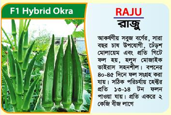 Picture of Raju F1 Hybrid Okra -100g
