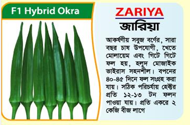 Picture of ZARIYA F1 Hybrid Okra ‍Seed -1 kg