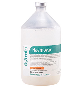 Picture of Haemovax 1X1000 DS 300 mL