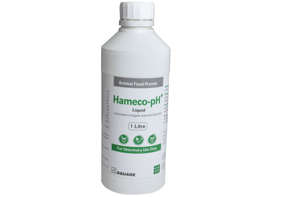 Picture of Hameco-pH Liquid 1 L