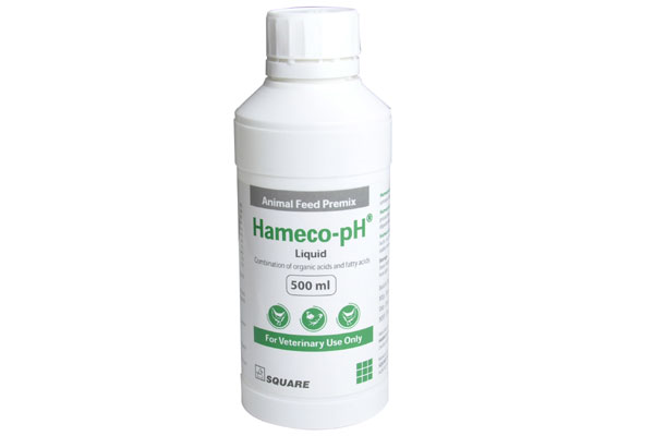 Picture of Hameco-pH Liquid 500ml