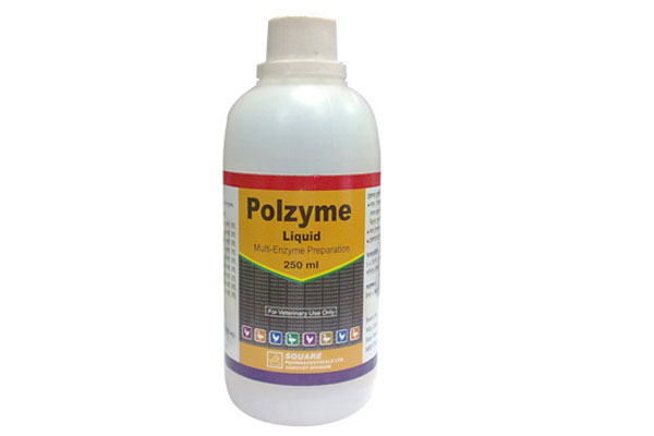 Picture of Polzyme Liquid 250 ml
