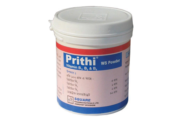 Picture of Prithi WS Powder 100 g