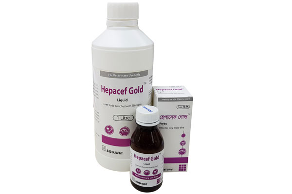 Picture of Hepacef Gold Liquid 1L