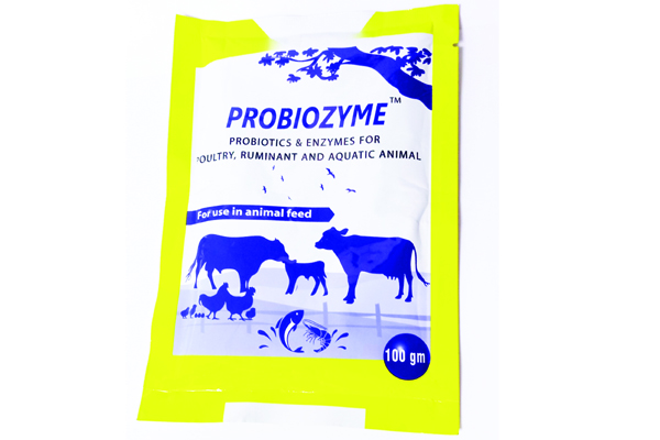 Picture of Probiozyme Powder 100g