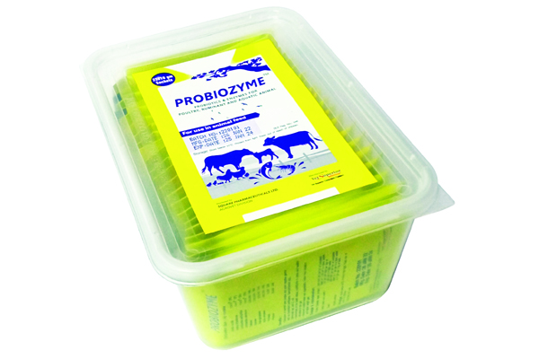 Picture of Probiozyme Powder 25X10g