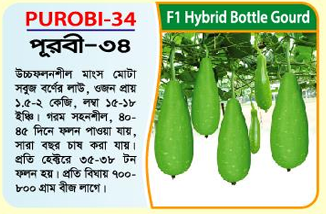Picture of PUROBI-34 Hybrid Bottle Gourd Seeds 1 Kg