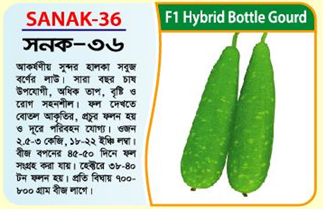 Picture of SANAK-36 Hybrid Bottle Gourd Seeds 5g