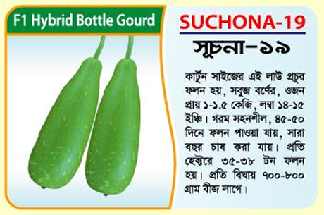 Picture of SUCHONA-19 Hybrid Bottle Gourd Seeds 10g
