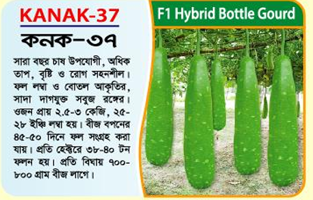 Picture of KANAK-37 Hybrid Bottle Gourd Seeds 10g