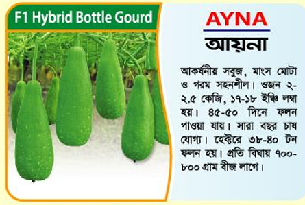 Picture of AYNA Hybrid Bottle Gourd Seeds 10g