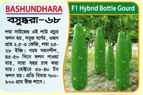 Picture of BASHUNDHARA-68 Hybrid Bottle Gourd Seeds 5g