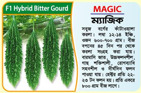 Picture of MAGIC Hybrid Bitter Gourd Seeds 10g