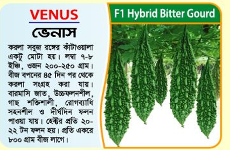 Picture of VENUS Hybrid Bitter Gourd Seeds 1Kg