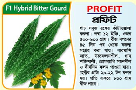 Picture of PROFIT Hybrid Bitter Gourd Seeds 10g