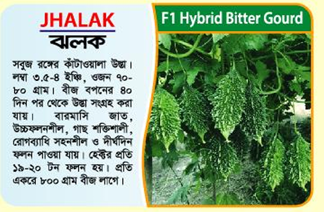 Picture of JHALAK Hybrid Bitter Gourd Seeds (Usta) 1kg