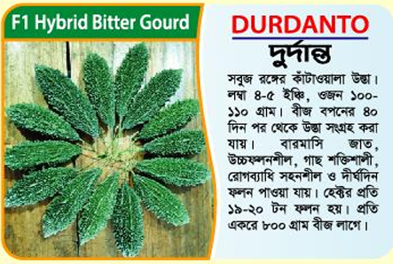 Picture of Durdanto Hybrid Bitter Gourd Seeds (10g) - 1kg