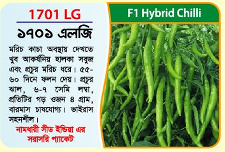 Picture of 1701 LG Hybrid Chilli Seeds 10g