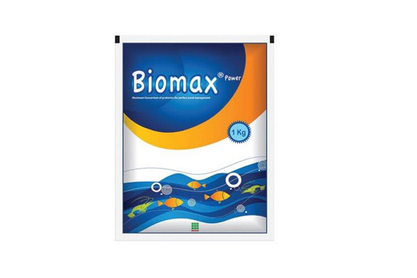 Picture of Biomax Power Powder 1 kg
