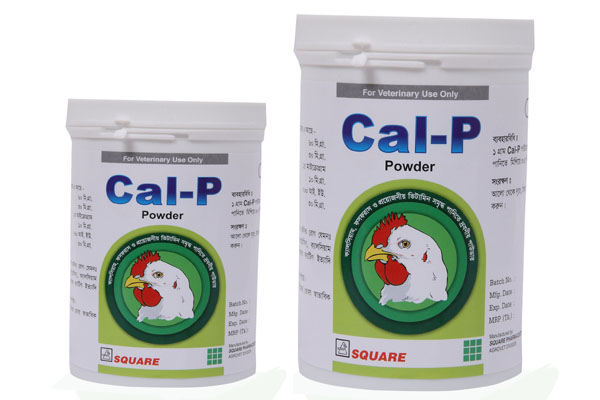 Picture of Cal-P Powder 1 kg